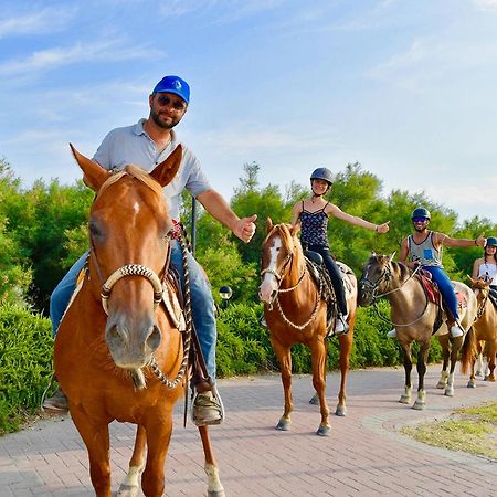 Barricata Holiday Village Скардовари Экстерьер фото Horse riding in the Everglades
